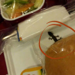 Passenger Spots Lizard In Air India Flight Meal; Airlines Denies The Claim!