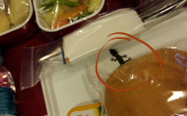 lizard in air india meal